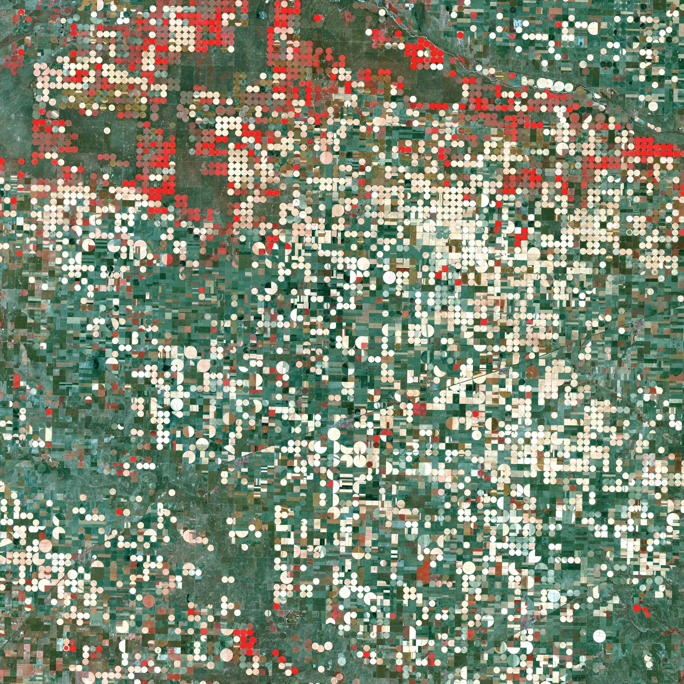 Satellite view of irrigated agricultural fields