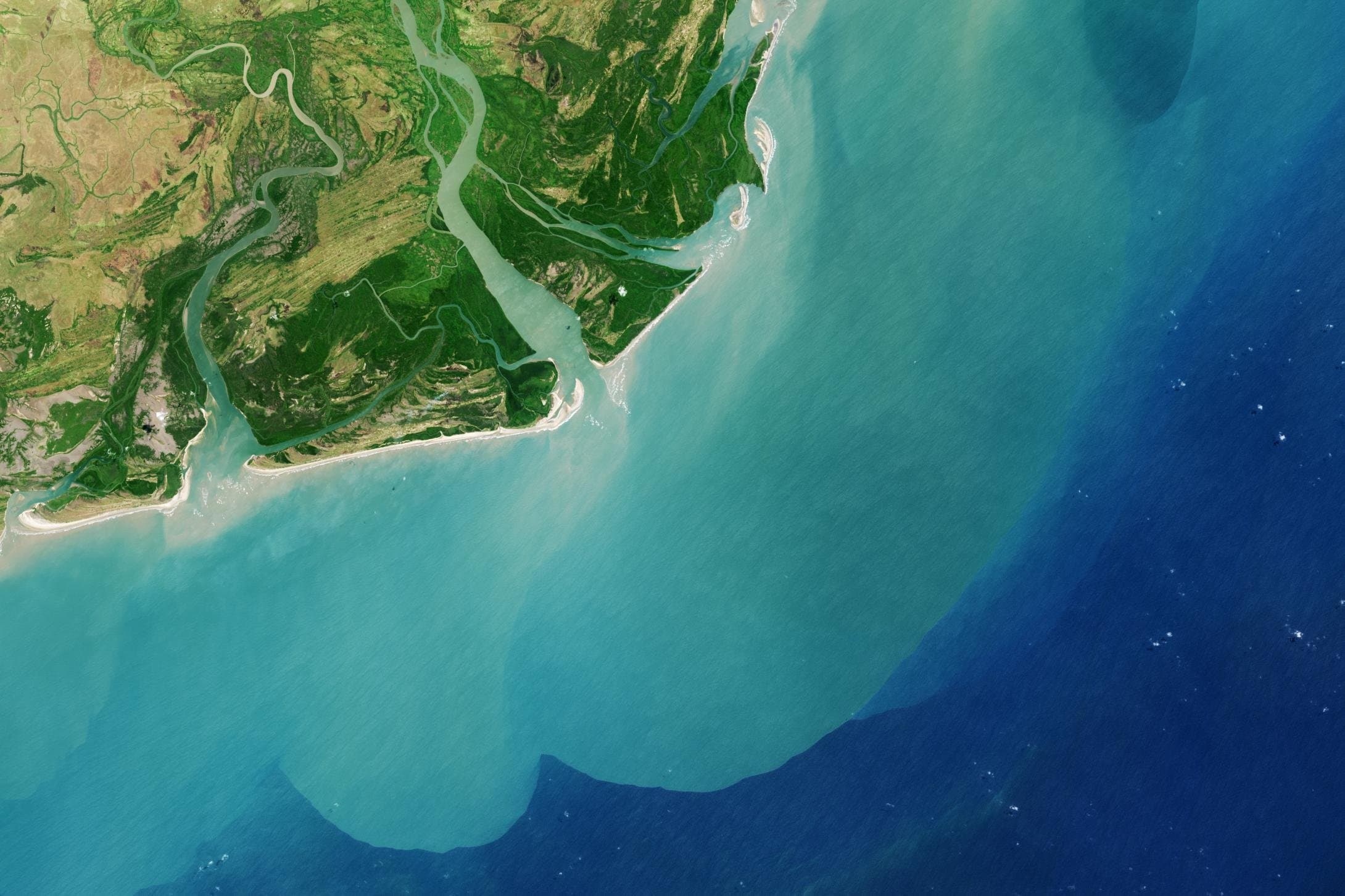 Satellite view of forest and river systems