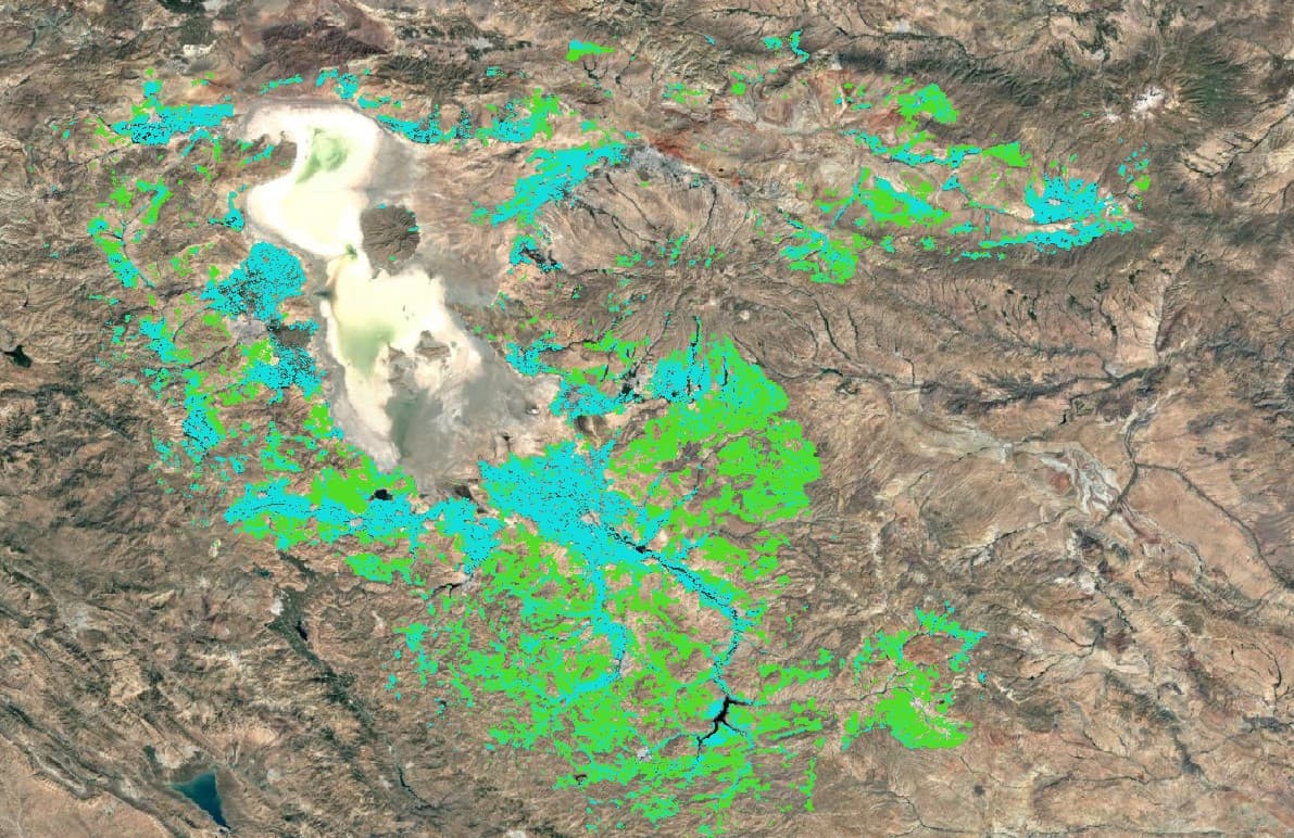 Classification map showing irrigated parcels in cyan and rainfed parcels in green over terrain